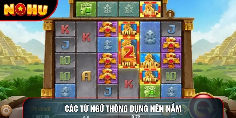 Các từ ngữ thông dụng nên nắm Các từ ngữ thông dụng nên nắm