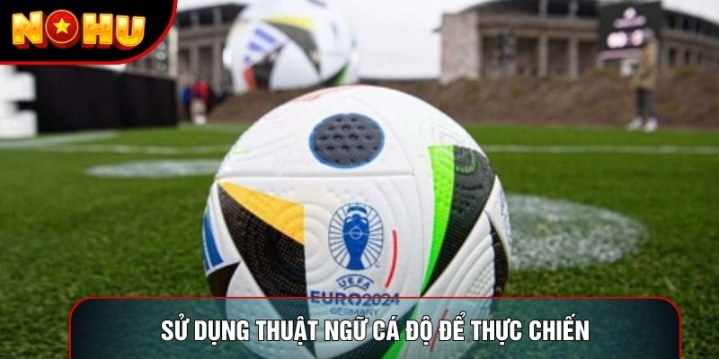 Sử dụng thuật ngữ cá độ để thực chiến Sử dụng thuật ngữ cá độ để thực chiến