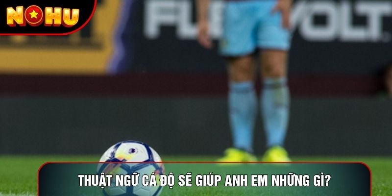 Thuật ngữ cá độ sẽ giúp anh em những gì? Thuật ngữ cá độ sẽ giúp anh em những gì?